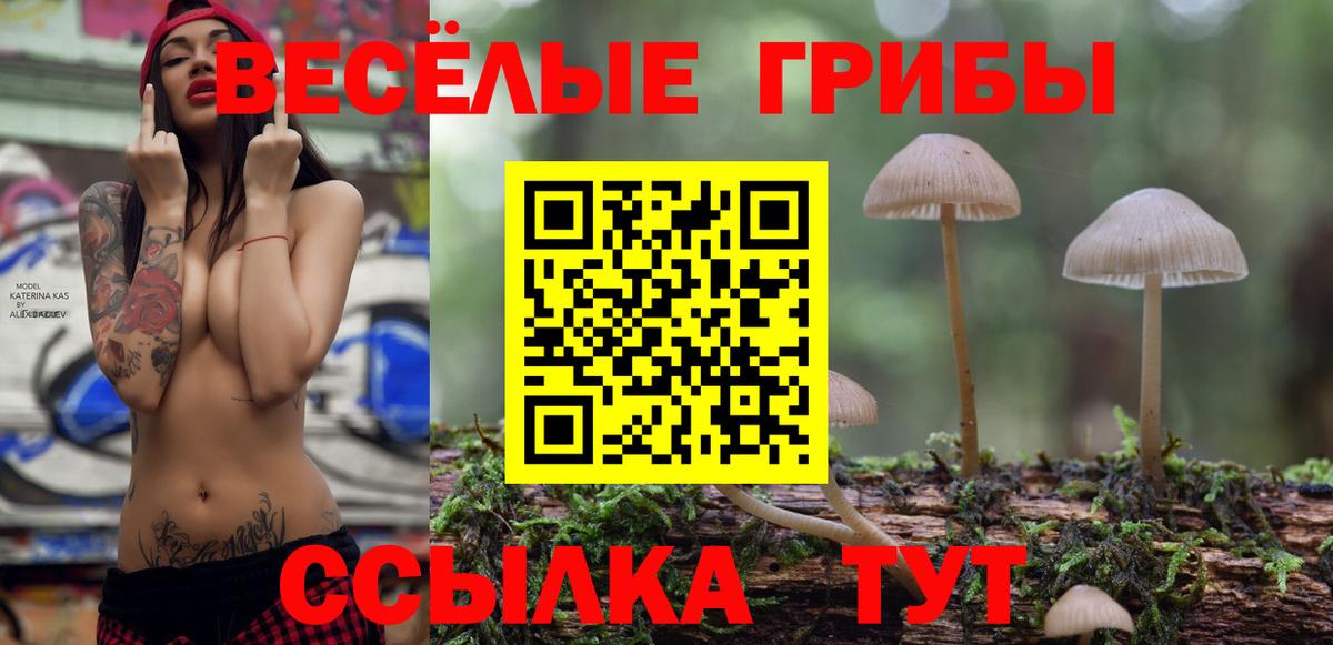 Зима  Псилоцибиновые грибы MAGIC MUSHROOMS  Вход с VPN 